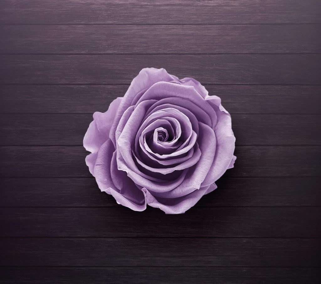 large purple flower
